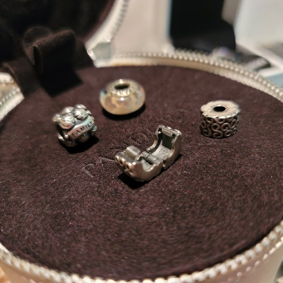 Pandora Bundle - Retired Charms, Wishbone Ring (9) & Limited Edition Case! - Picture 3 of 16